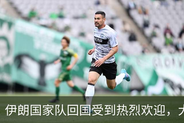 伊朗国家队回国受到热烈欢迎，大批球迷接机