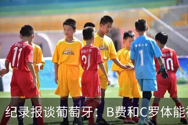 纪录报谈葡萄牙：B费和C罗体能被逼到了极限 主力未得到充分休息